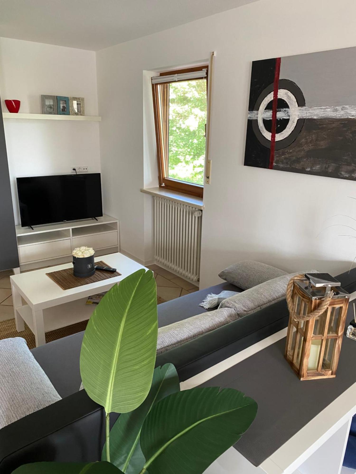 Apartment Baerenfelsblick Wehr (Baden-Wurttemberg) Exterior foto